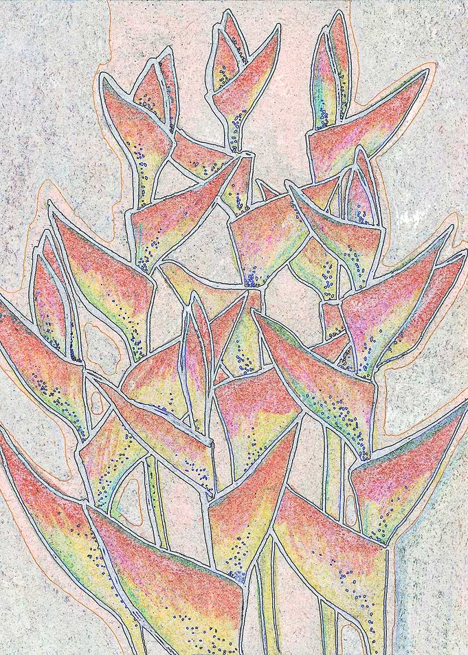 Heliconia Tropic Flowers