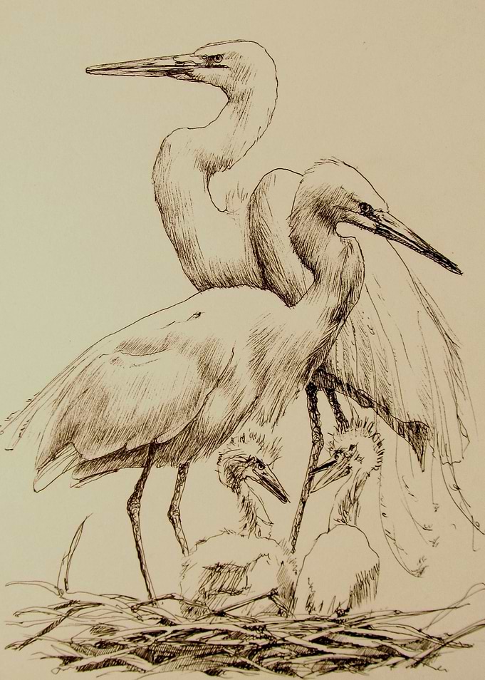 Cranes