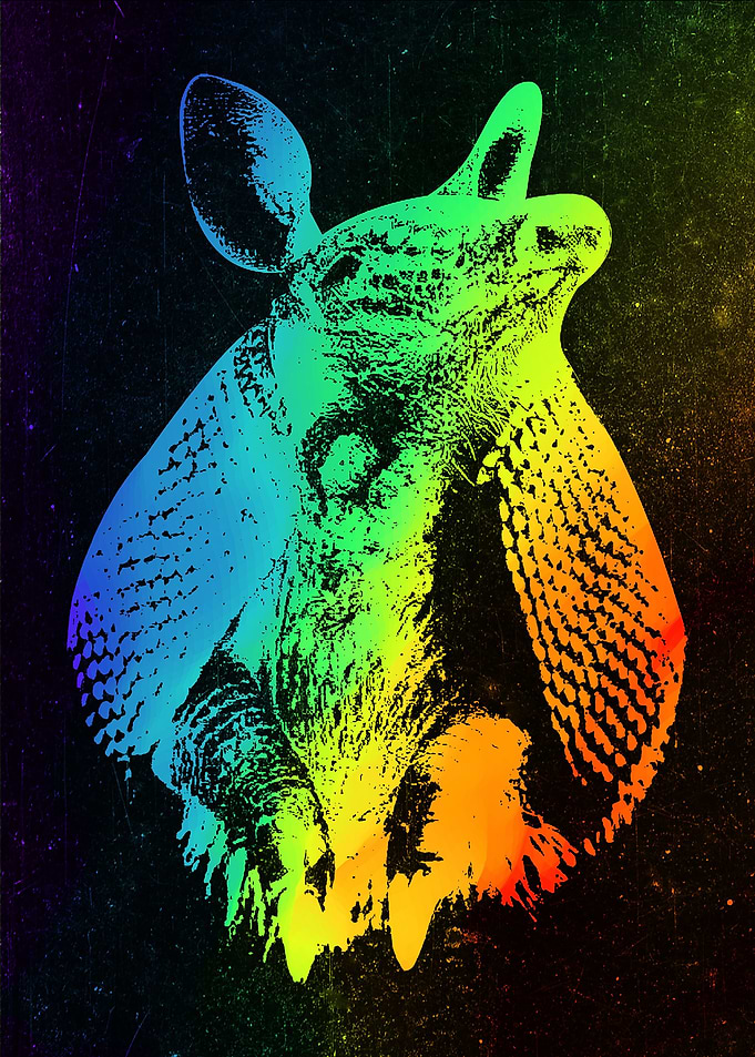 Armadillo
