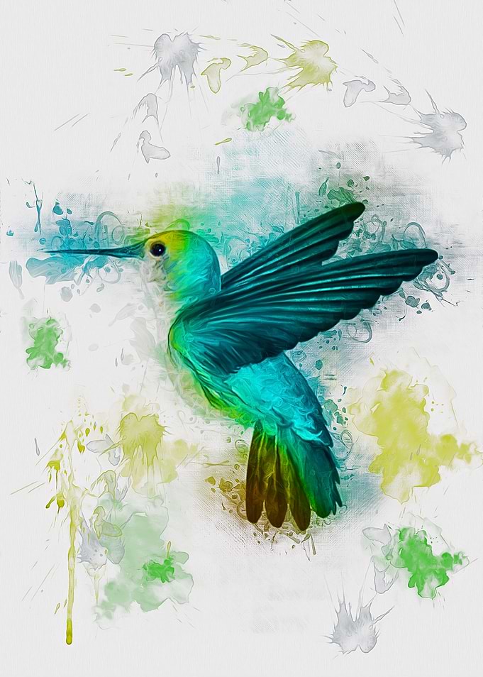 Hummingbird