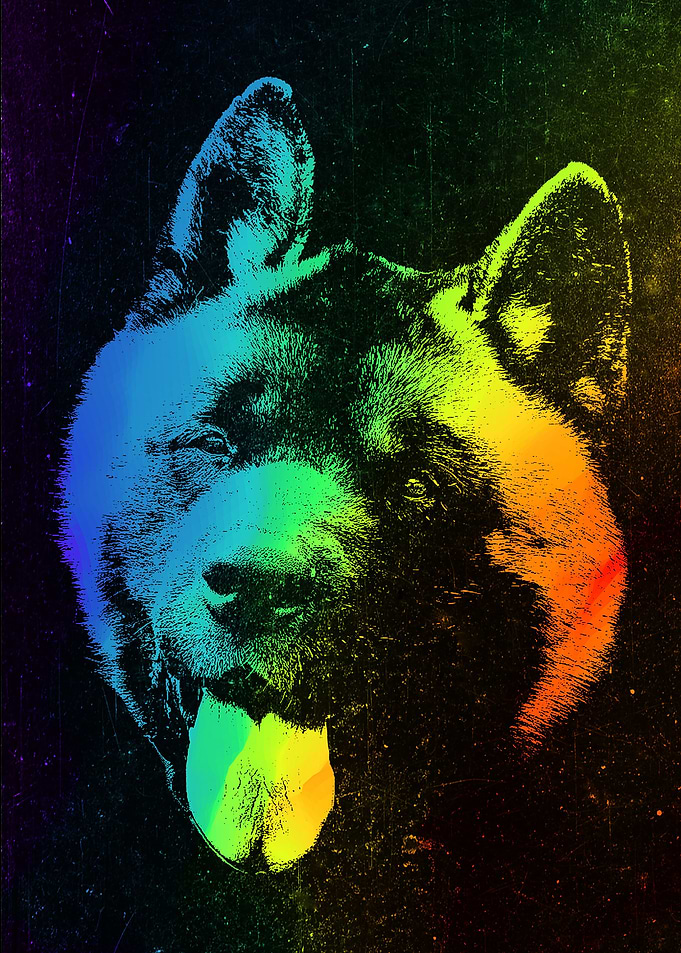 Akita