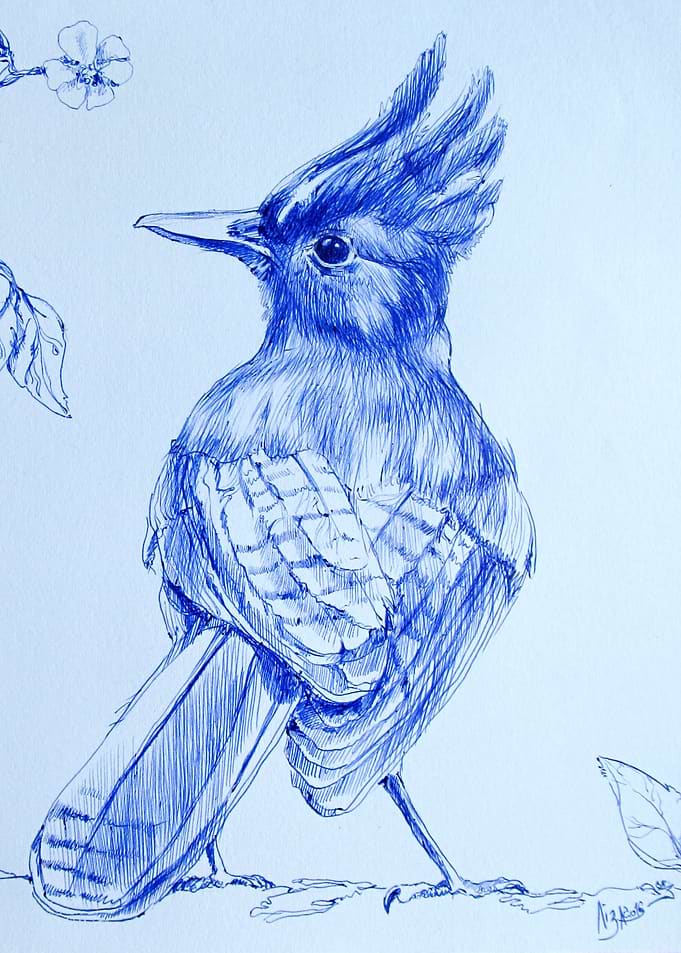 The Jay