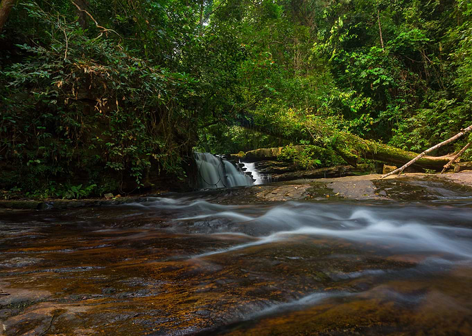 The Green Flow