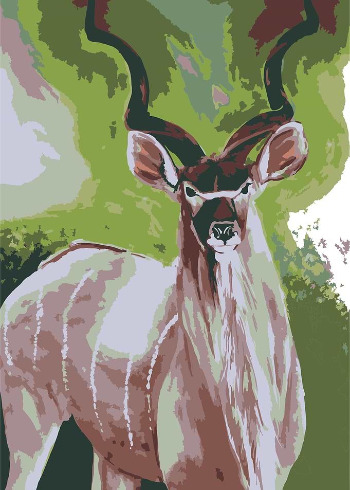 Kudu in the mash