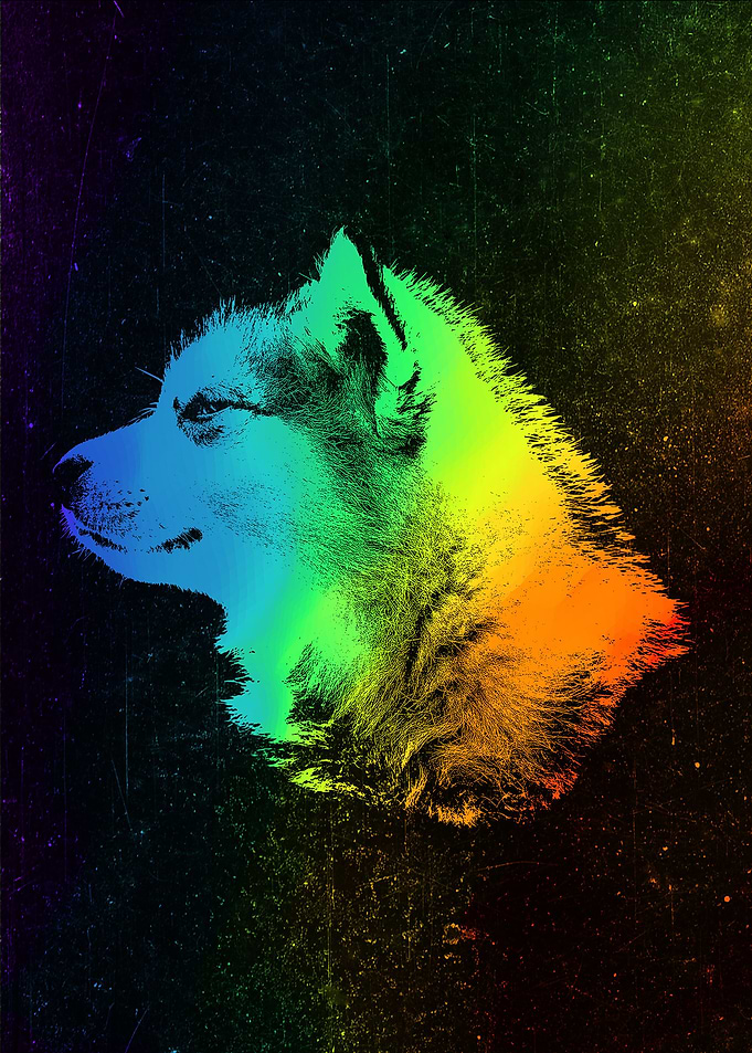 Alaskan Malamute