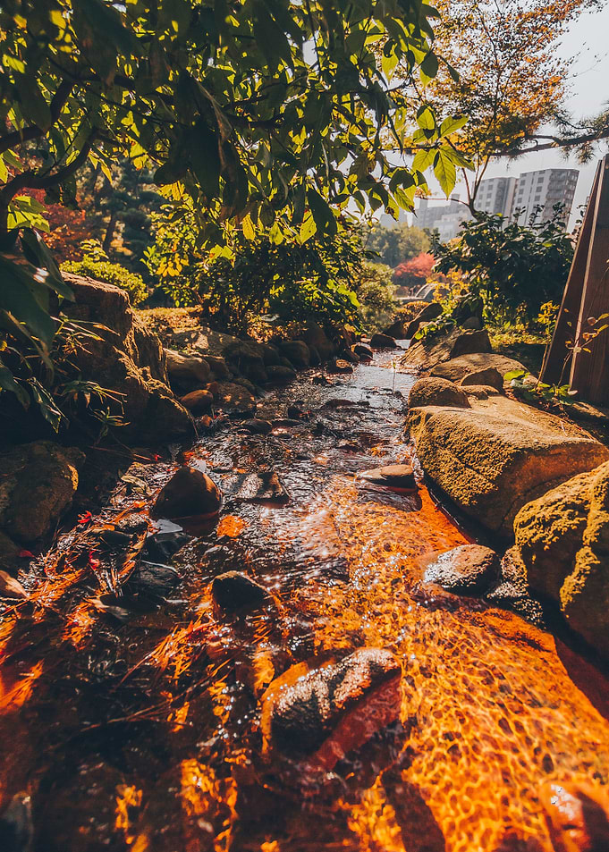 Stones inside the River