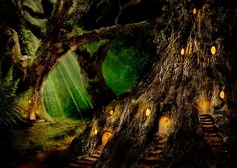 Forest Secrets 1