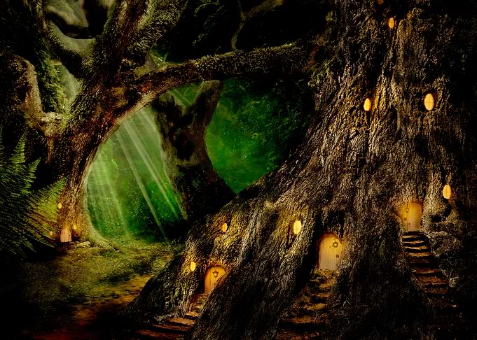 Forest Secrets 1