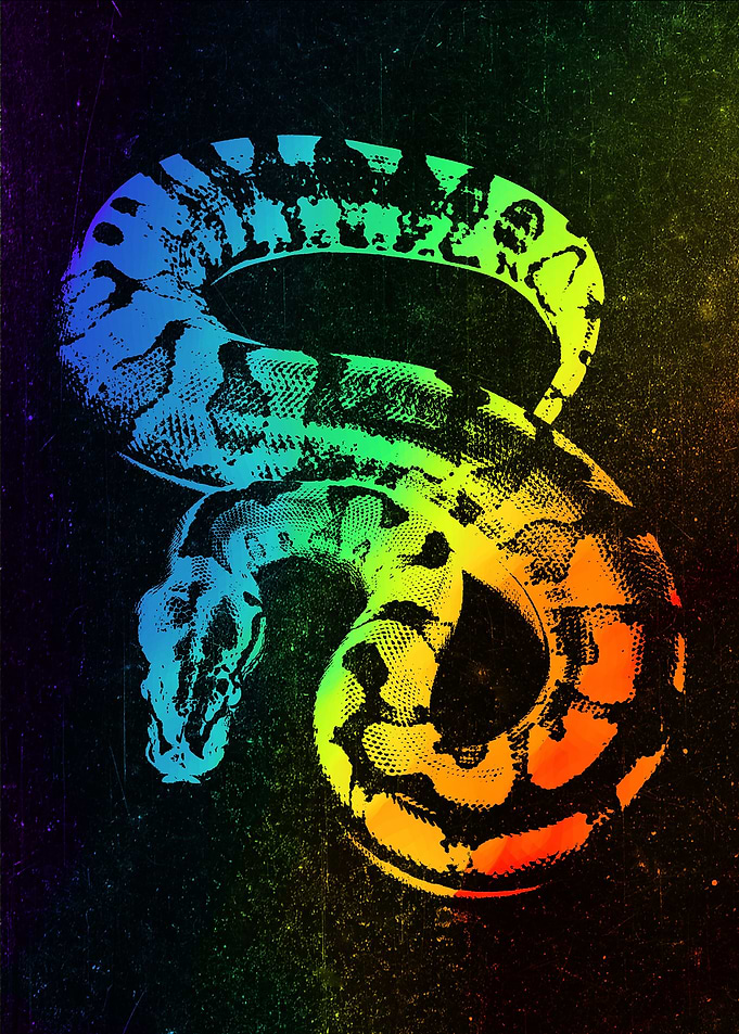 Ball Python Colorful