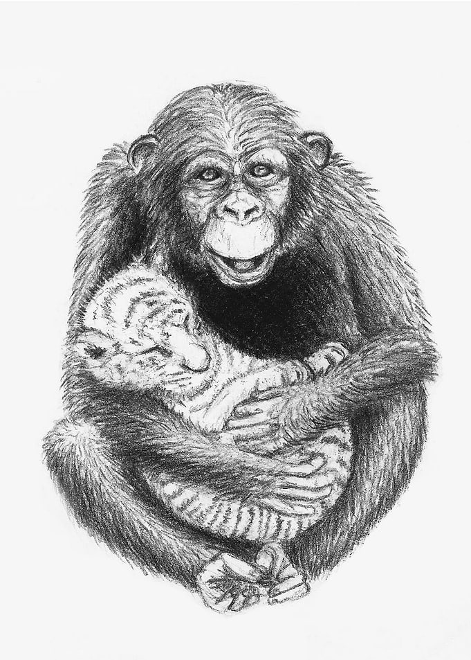the tiger and the monkey