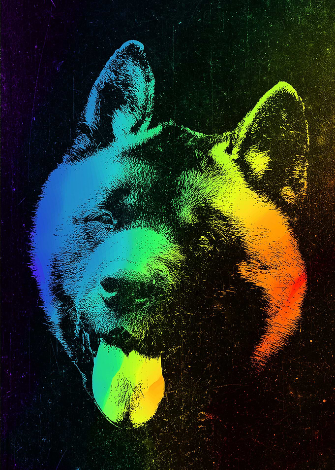 American Akita