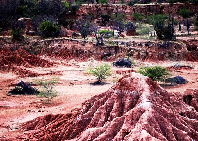 The Desert Door