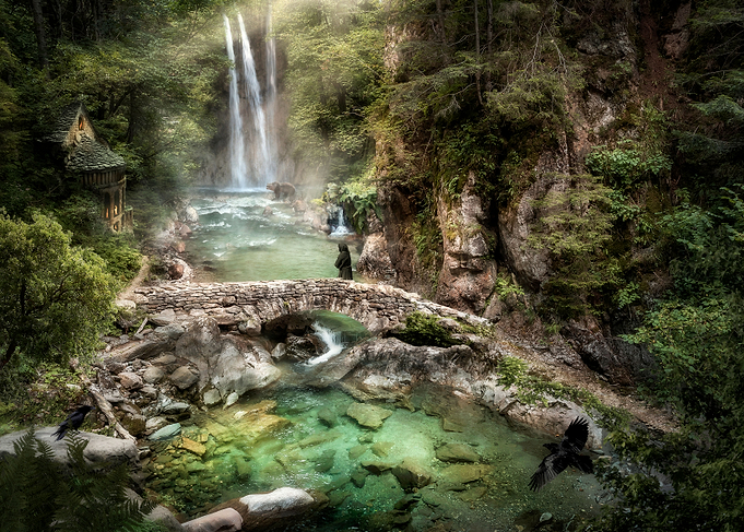 Forest Secrets 10
