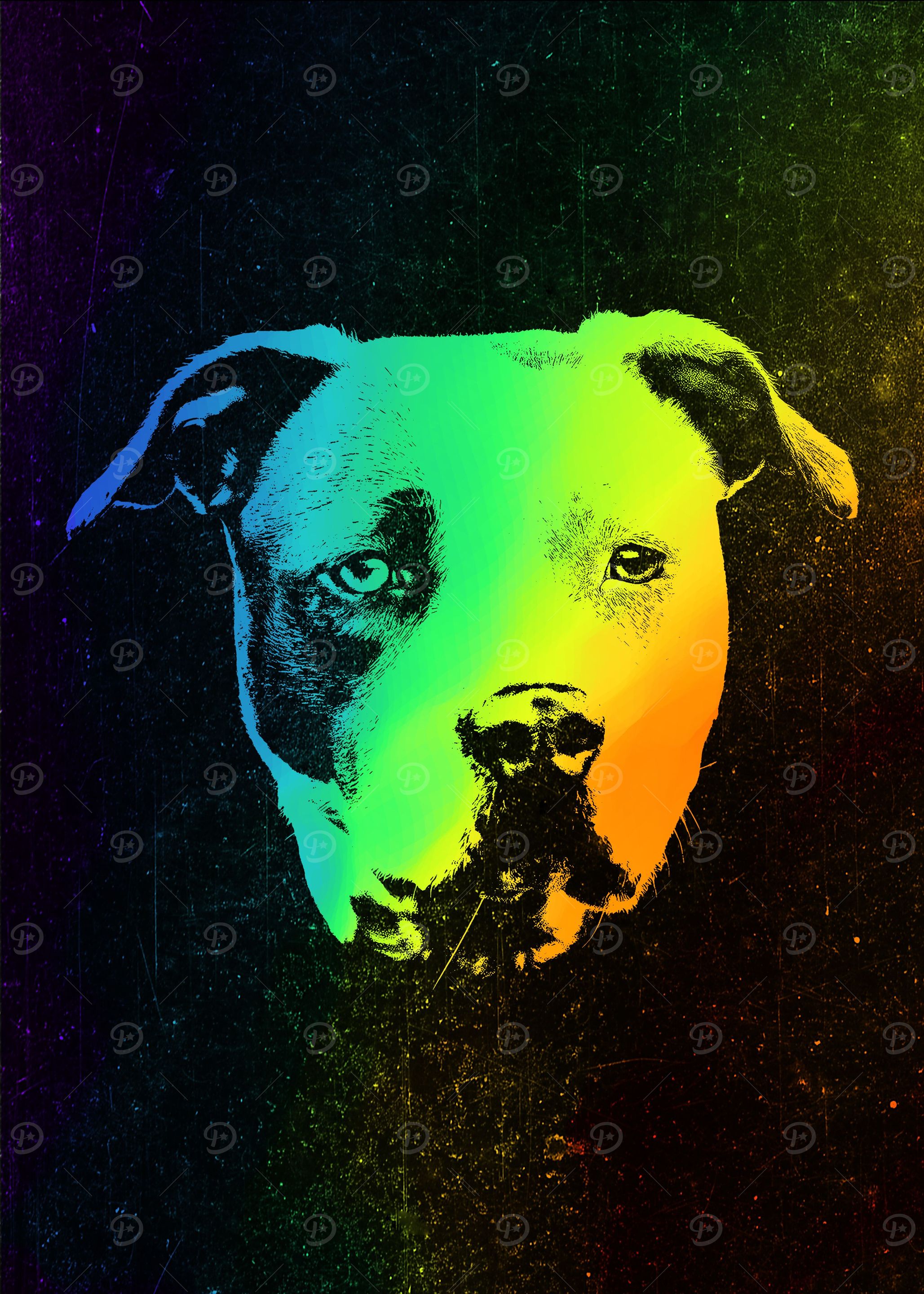 American Pit Bull Terrier