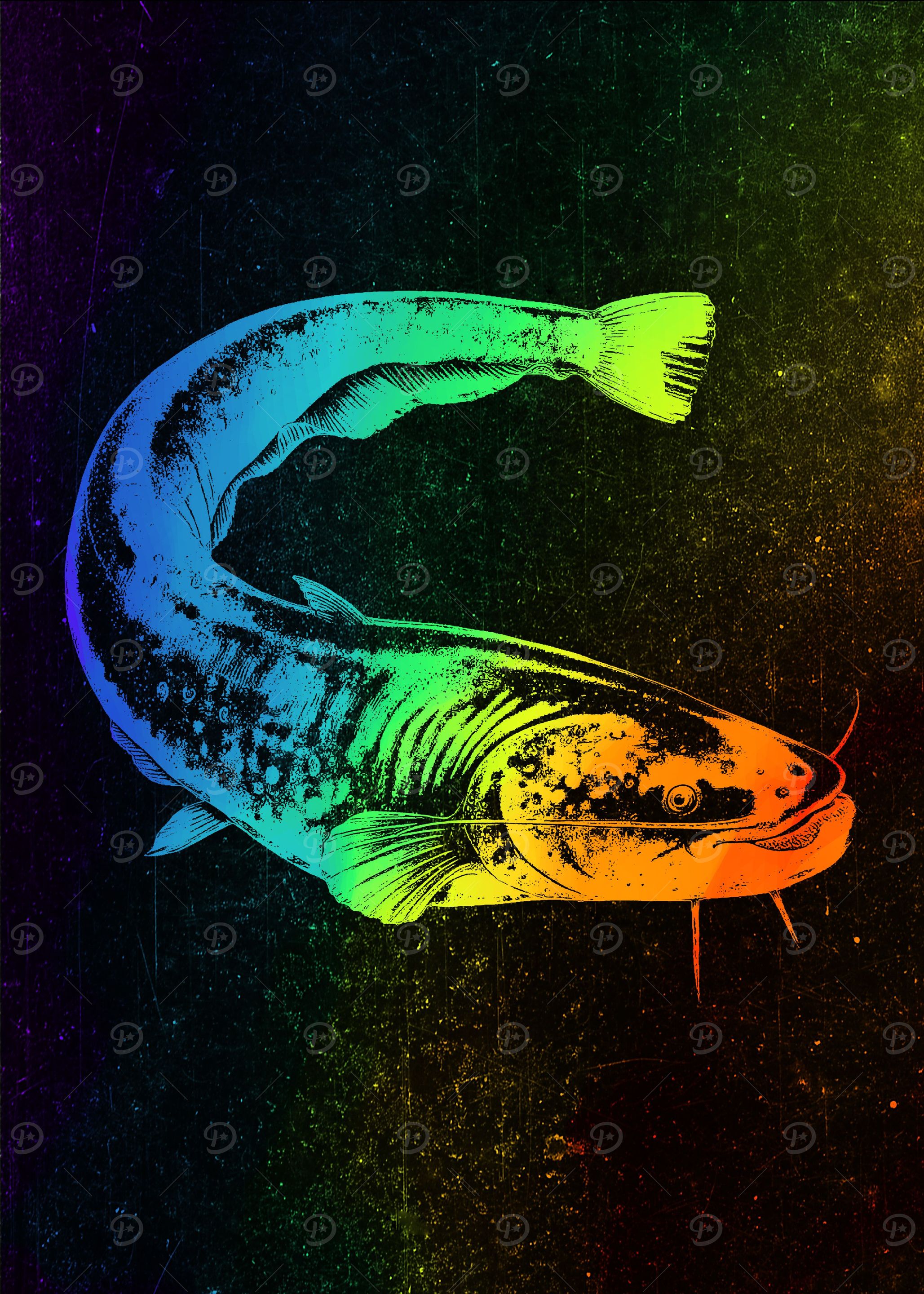 African Butter Catfish