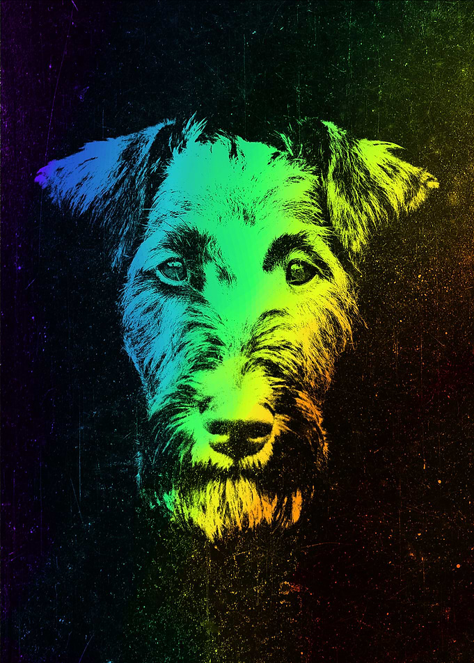 Airedale Terrier