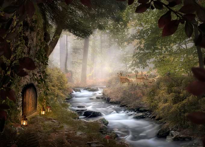 Forest Secrets 4