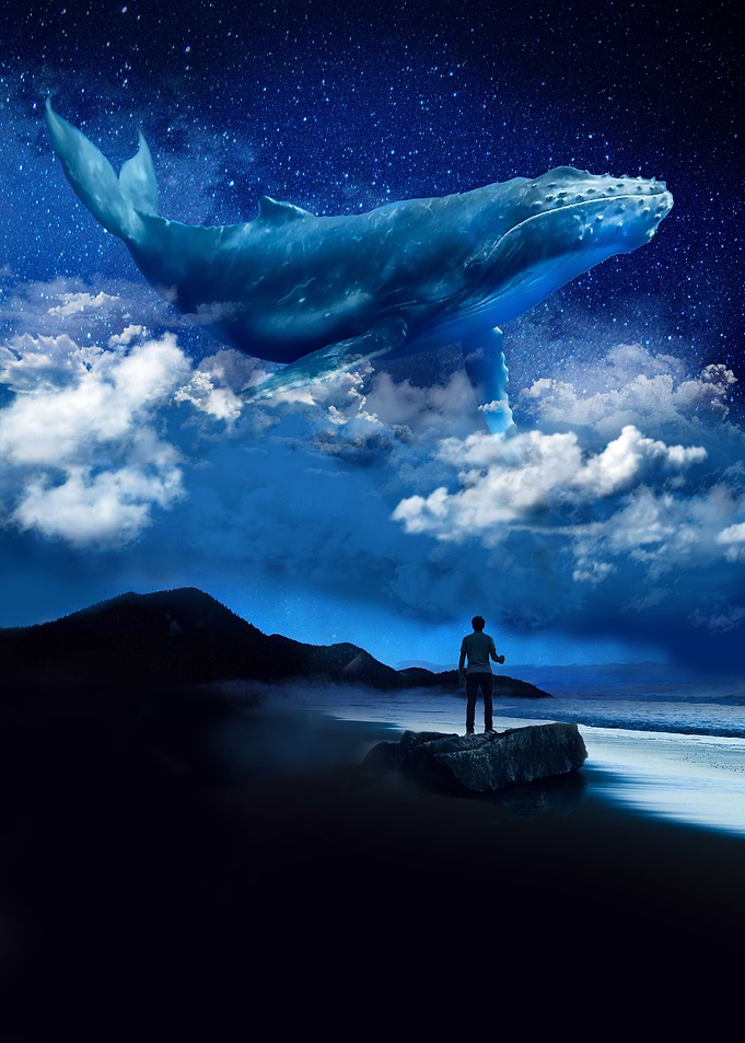 Whale in the Clouds