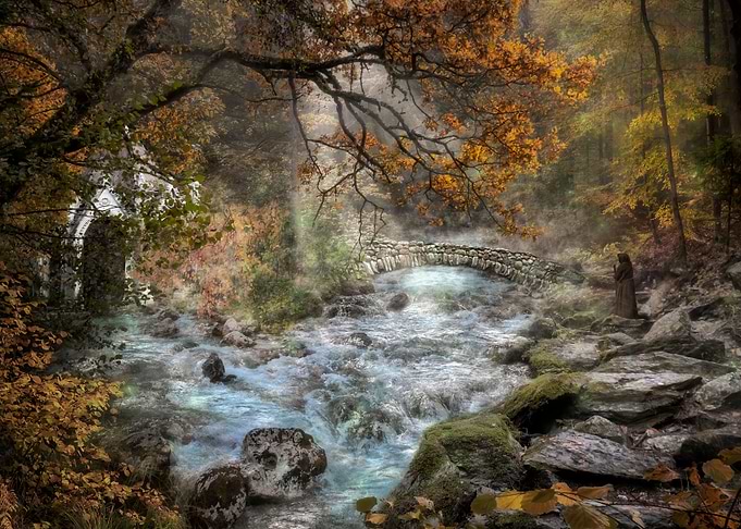Forest Secrets 7