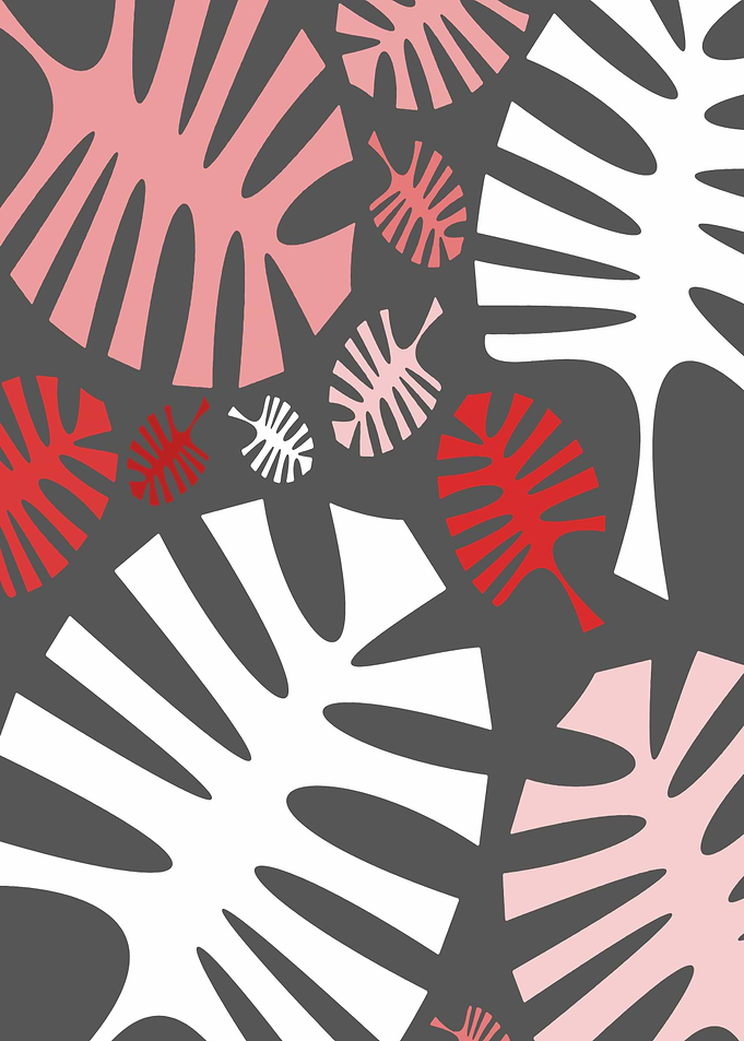 Pink white monstera leaves