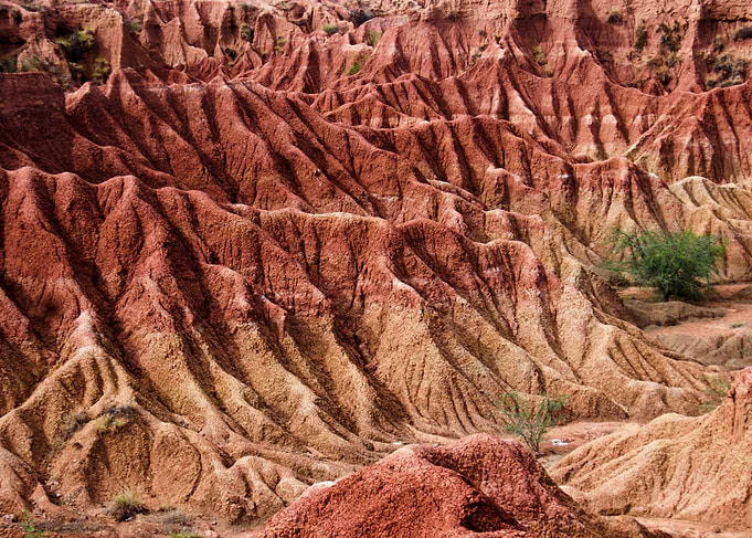 Desert Texture