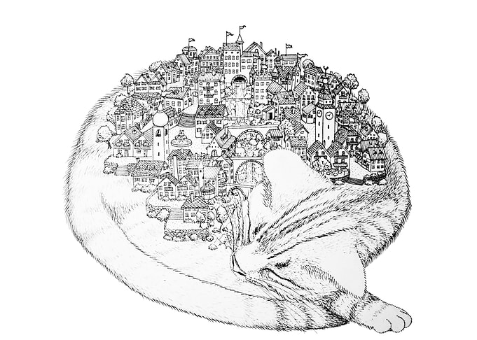 cats city