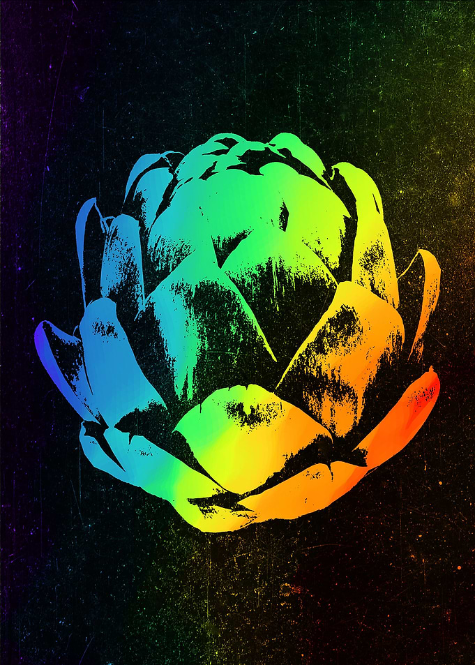 Armadillo Colorful