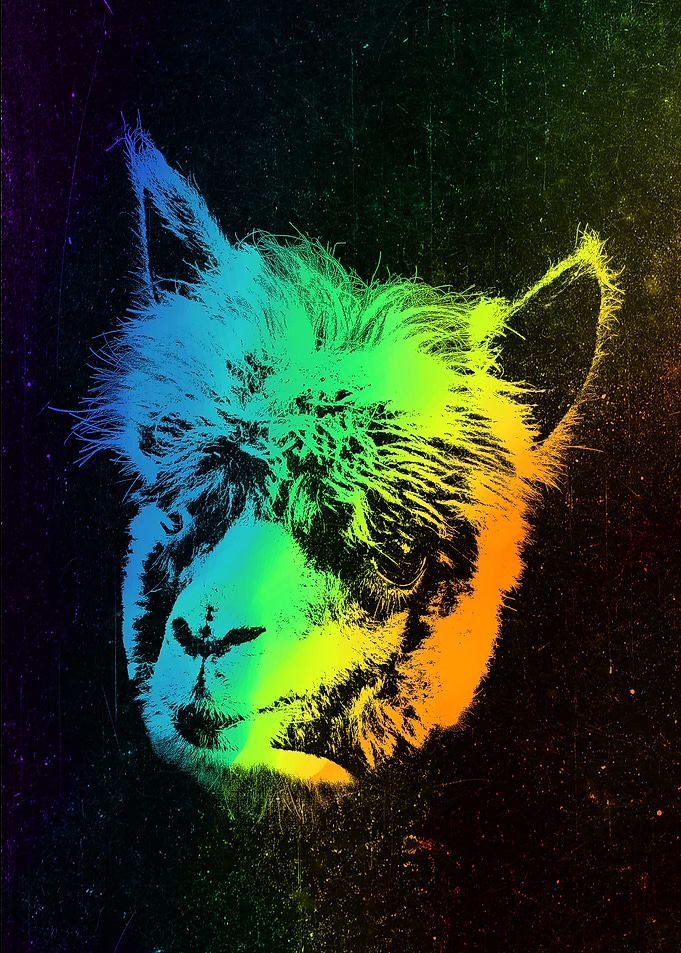 Alpaca