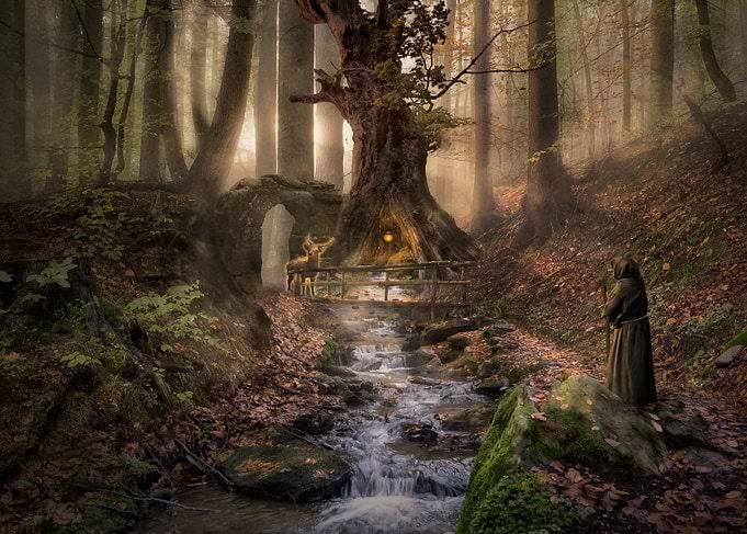 Forest Secrets 5