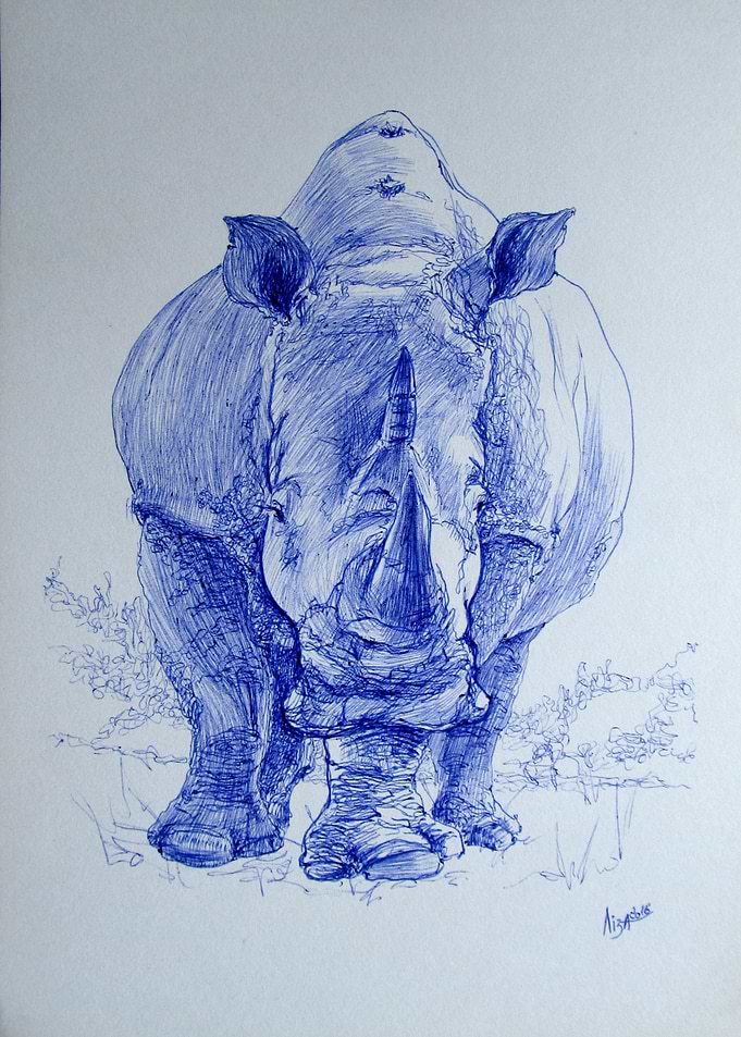 rhinoceros