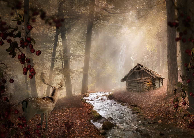 Forest Secrets 3