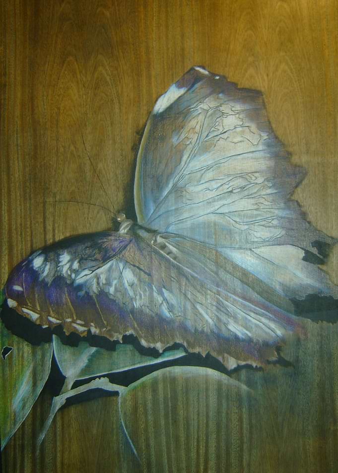 Butterfly