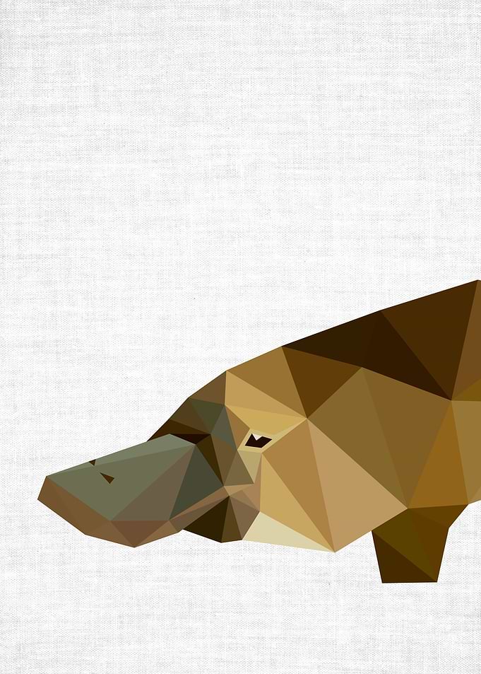 Low Poly Platypus
