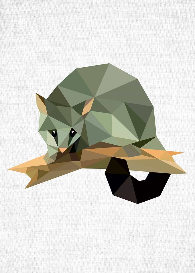 Low Poly Possum
