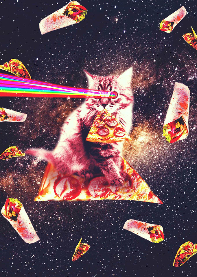 Space Pizza Cat