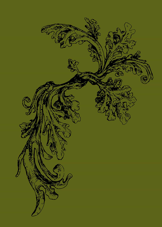 Floral II