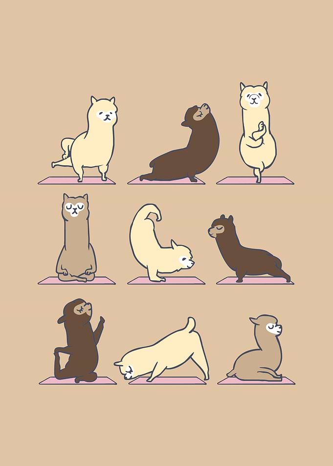 Alpaca Yoga