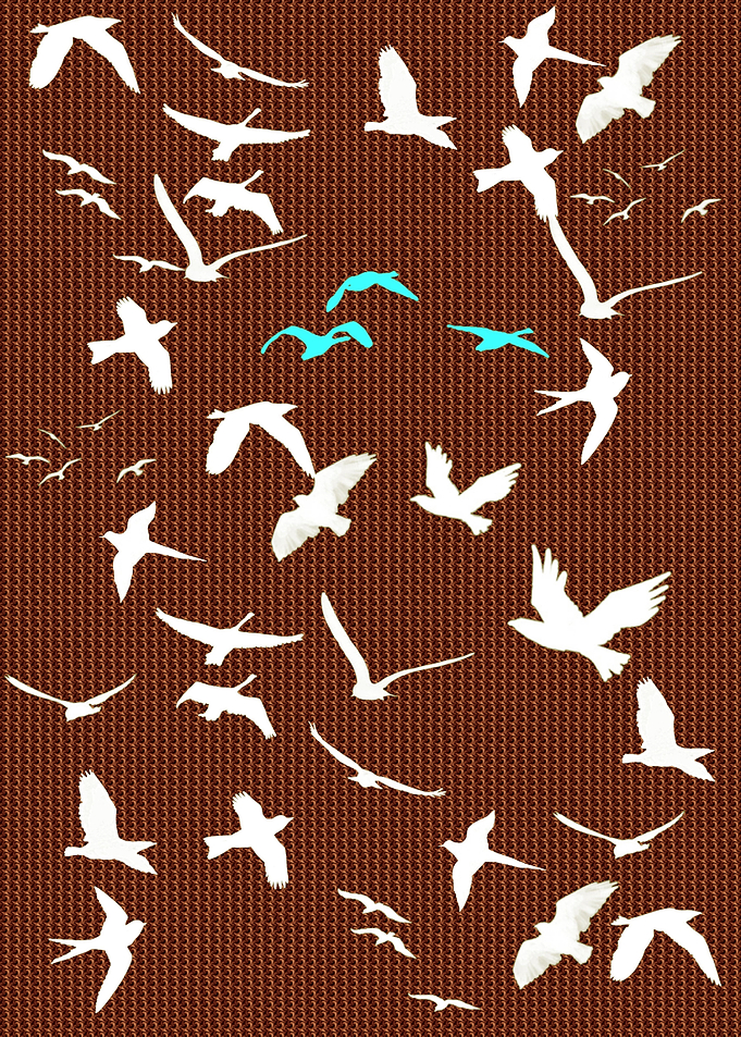 BIRDS