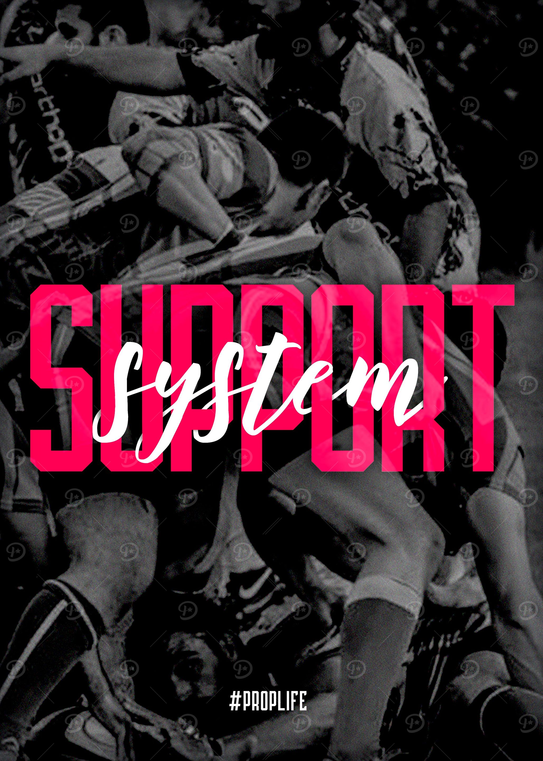 Support System