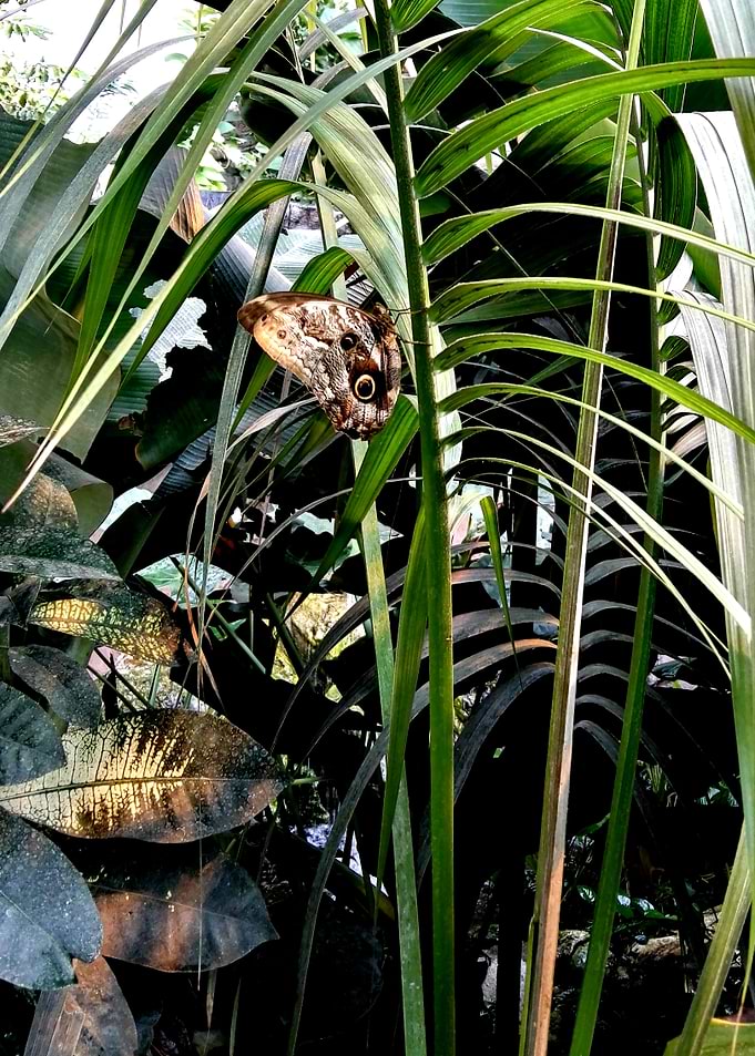 Can you see me