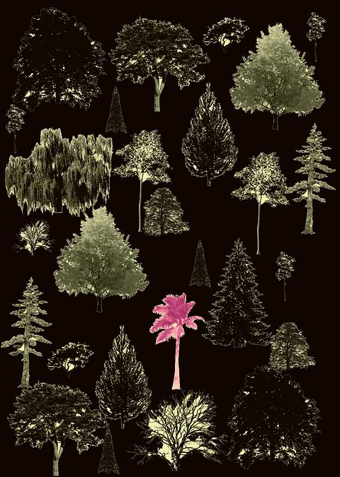 TReees