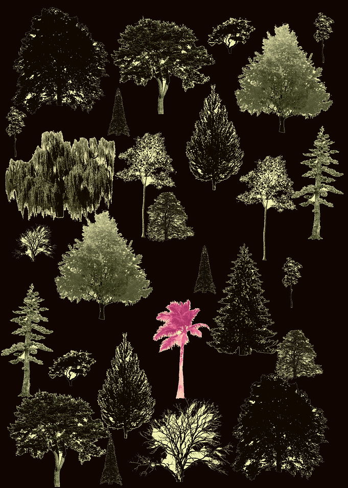 TReees