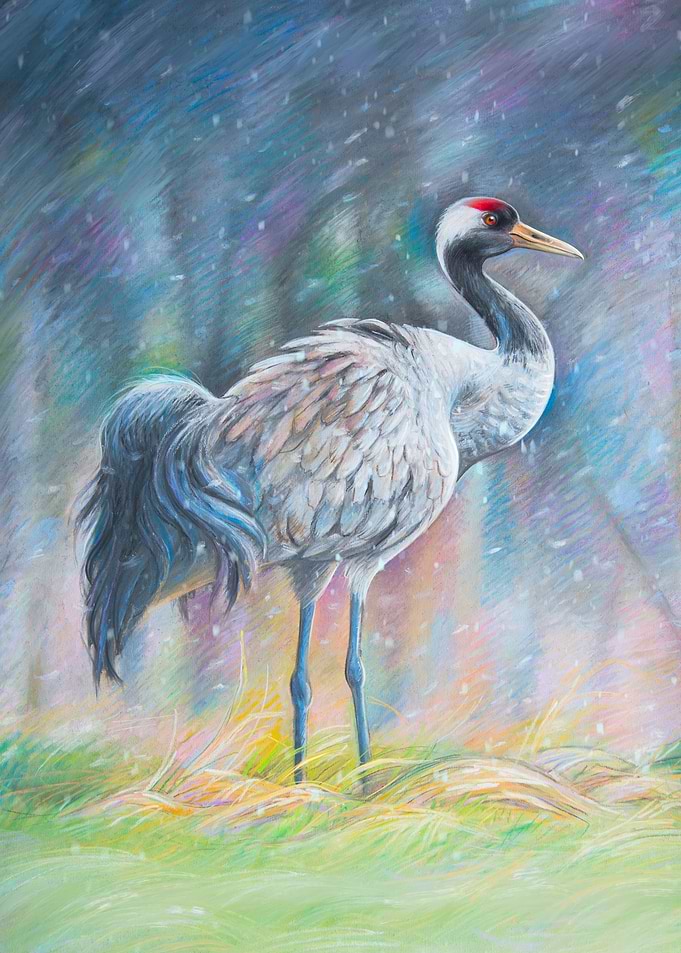 Pastel Birds japanese cra