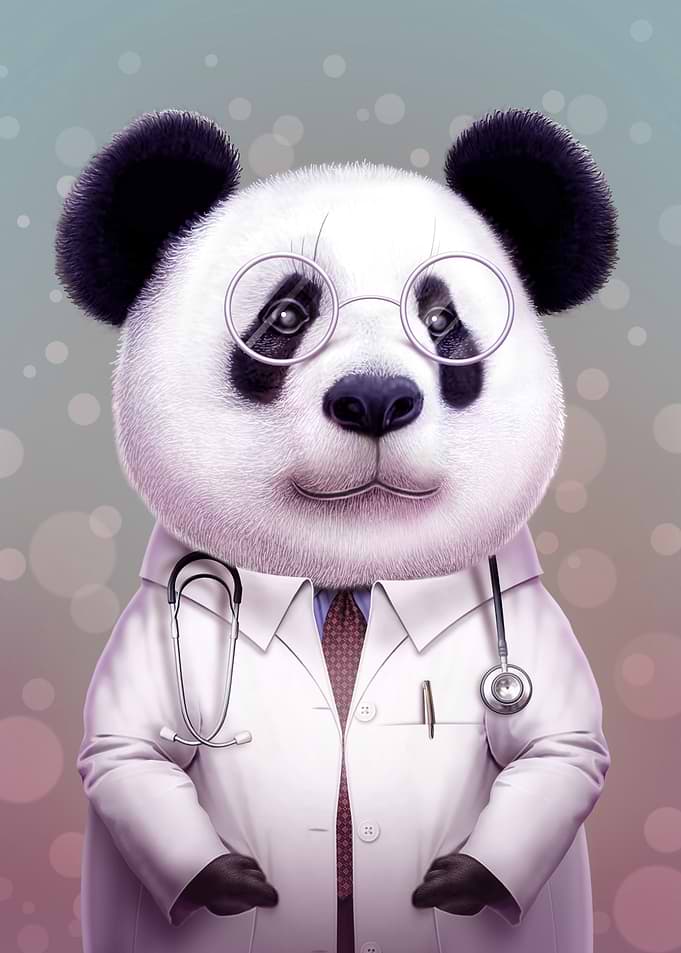 DOCTOR PANDA