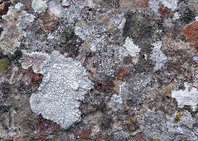 The time of the rocks