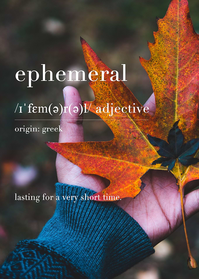 Ephemeral Meaning
