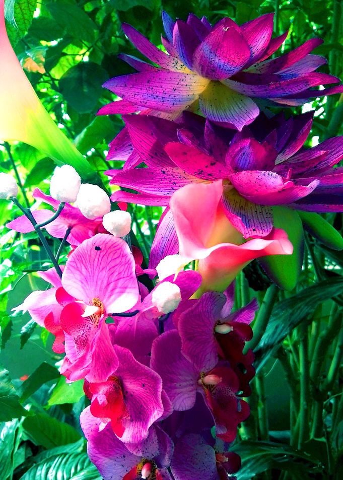 Colorful flowers