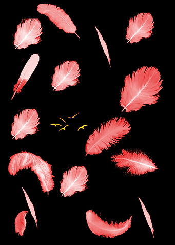 FEATHERS