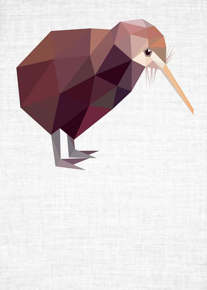 Low Poly Kiwi Bird