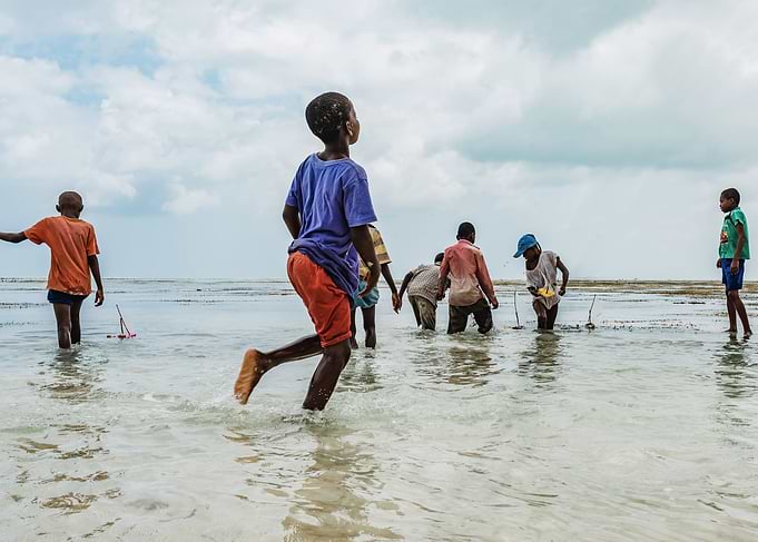 Zanzibar Boys